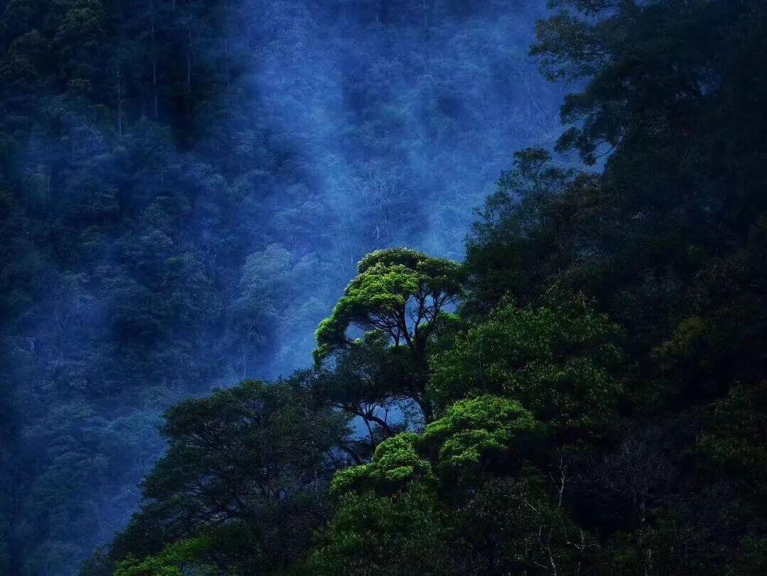 删除喜欢的人或者心爱的人是什么感觉?——专为你解答的问答平台